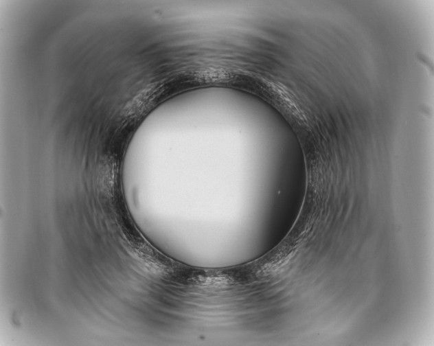 X0000096990645200802221458