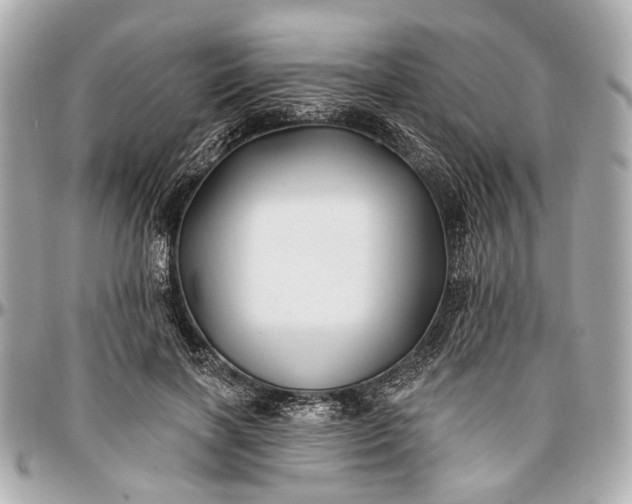 X0000096990646200802221458