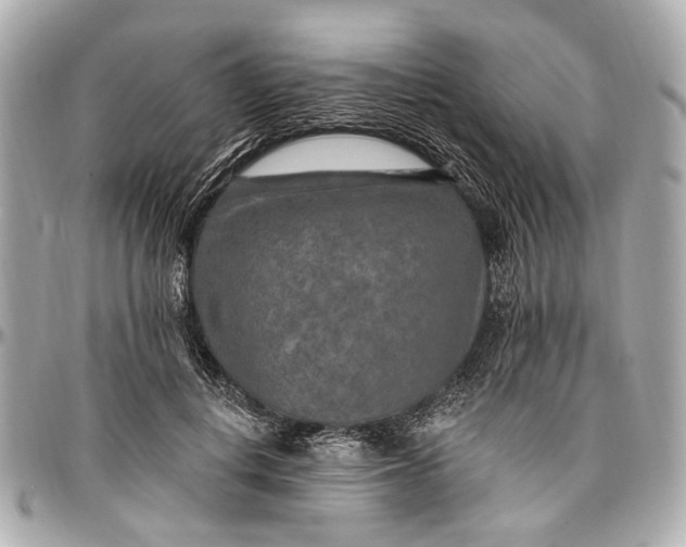 X0000096990648200802221458