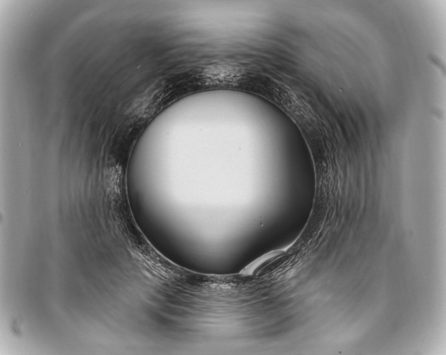 X0000096990649200802221458