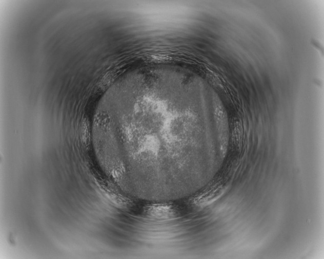 X0000096990651200802221459