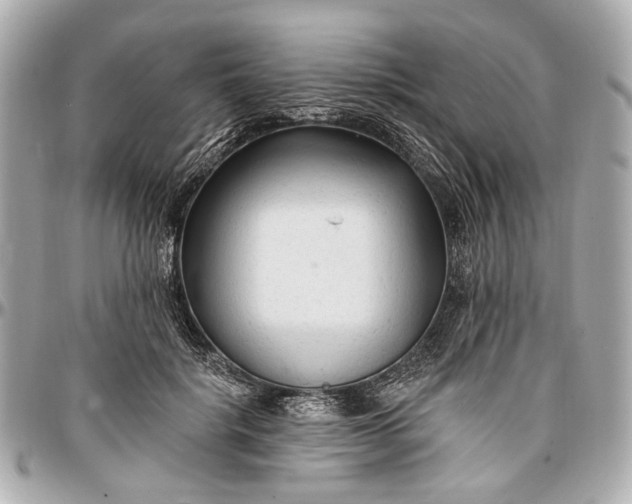 X0000096990652200802221459