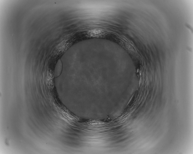 X0000096990653200802221459