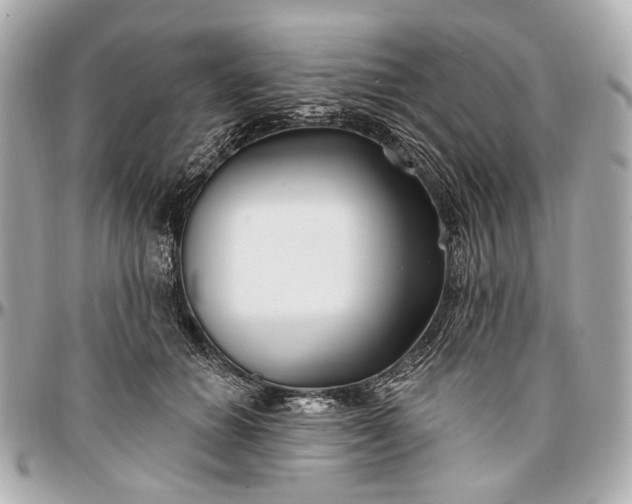 X0000096990654200802221459