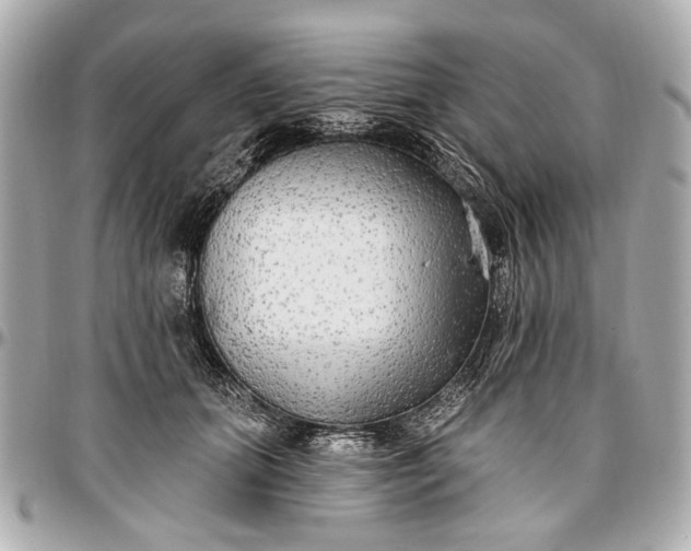 X0000096990655200802221459