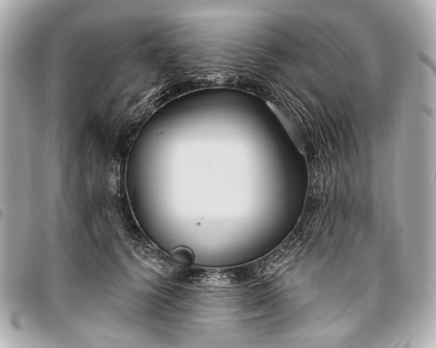 X0000096990656200802221459