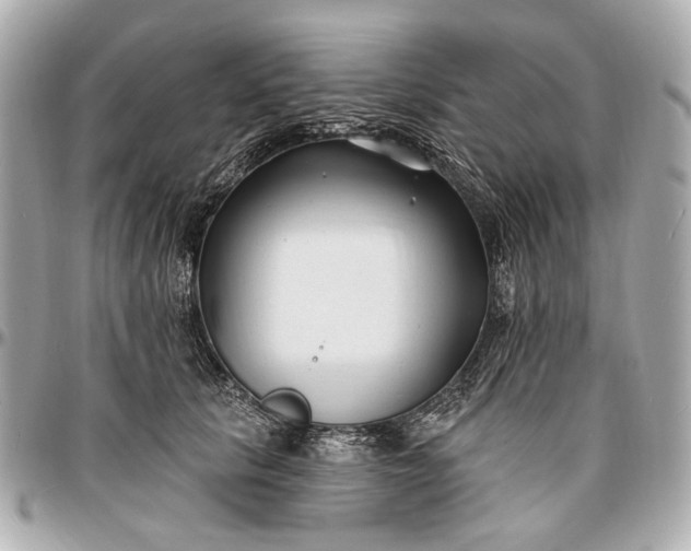 X0000096990657200802221459