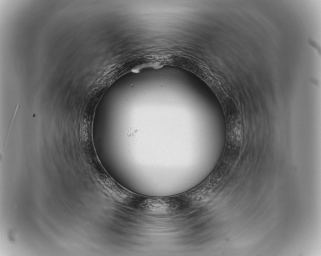 X0000096990658200802221459