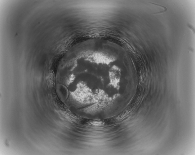 X0000096990659200802221459