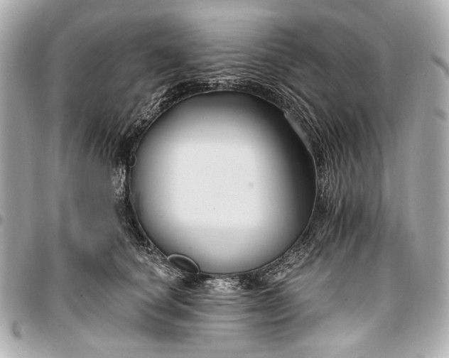 X0000096990660200802221459