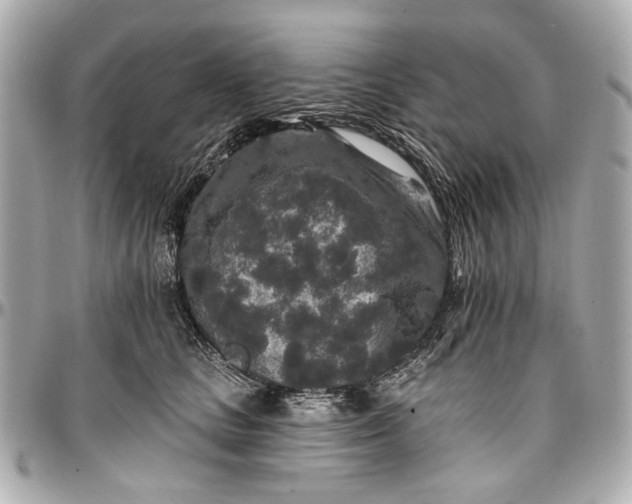 X0000096990661200802221459