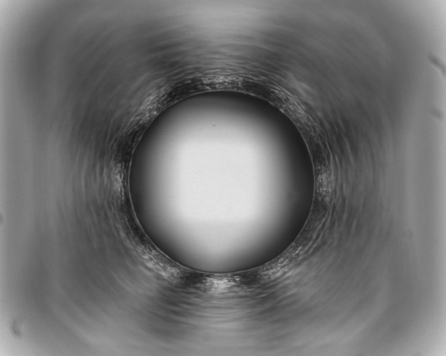 X0000096990662200802221459