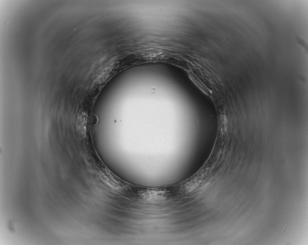 X0000096990664200802221459