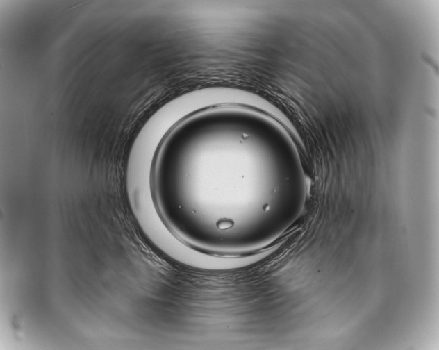 X0000096990665200802221459