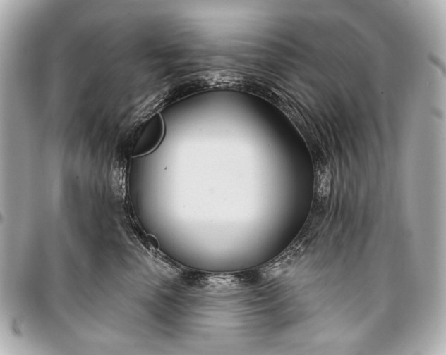 X0000096990666200802221459