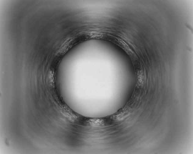 X0000096990667200802221459