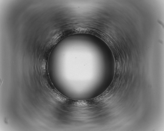 X0000096990668200802221459