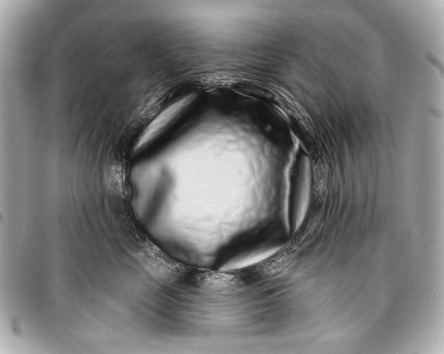 X0000096990669200802221459