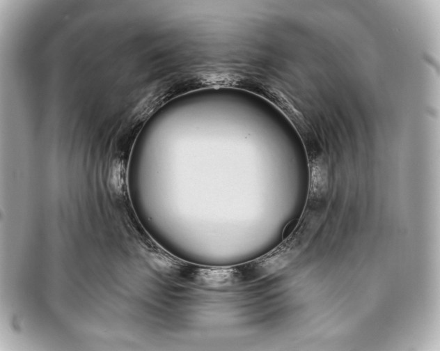 X0000096990671200802221459