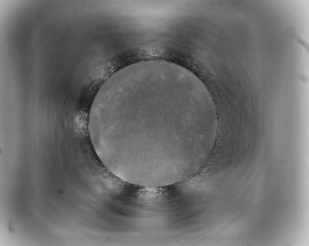 X0000096990672200802221459