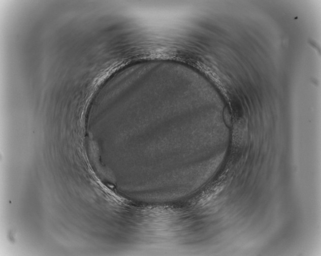 X0000096990673200802221458