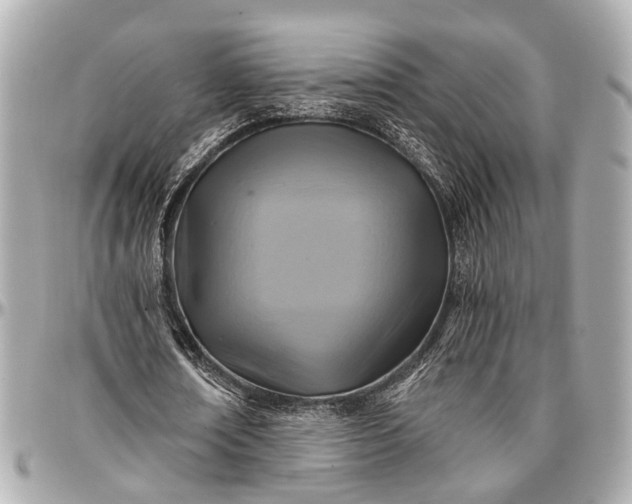 X0000096990674200802221458