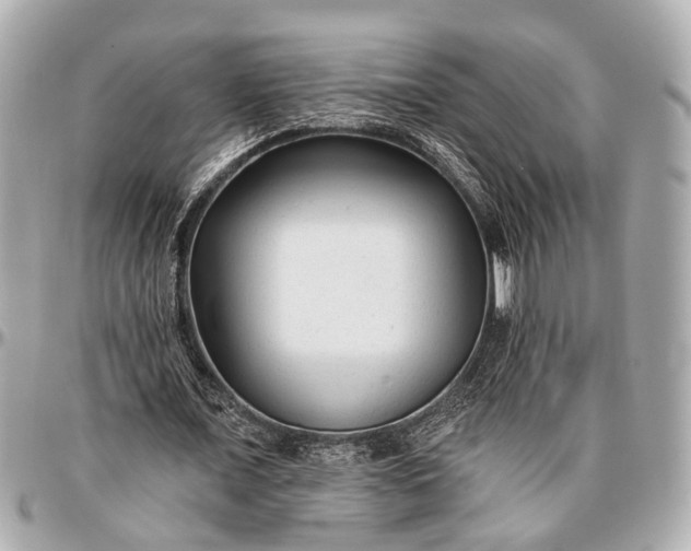 X0000096990675200802221458