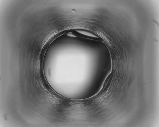 X0000096990676200802221458