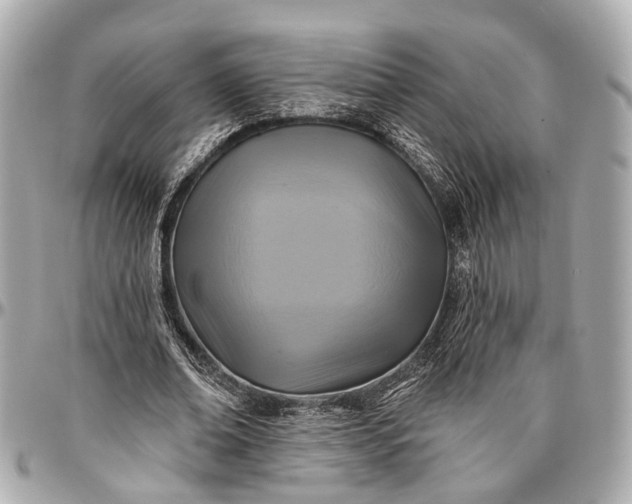 X0000096990678200802221458