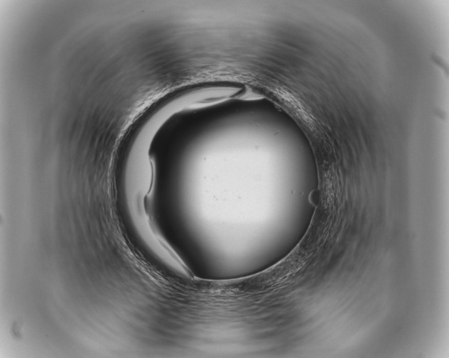 X0000096990680200802221458