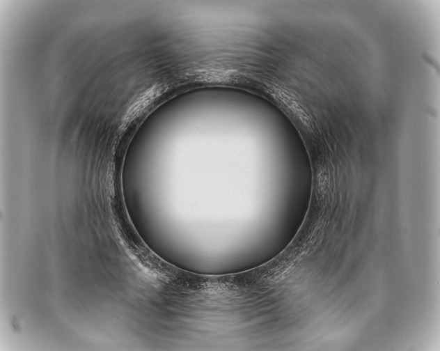 X0000096990682200802221458