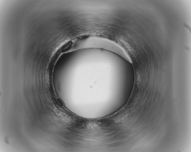 X0000096990684200802221458