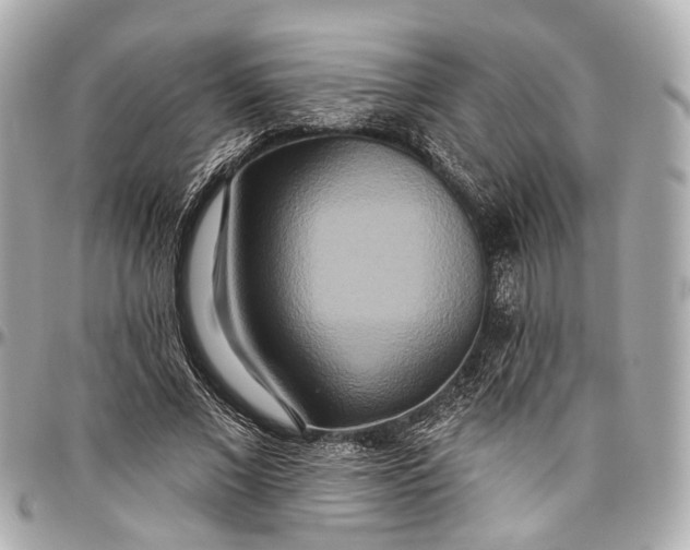 X0000096990685200802221458