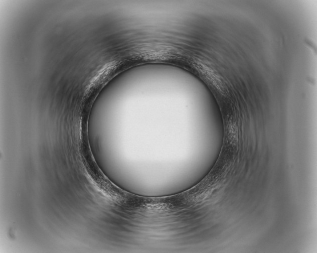 X0000096990686200802221458