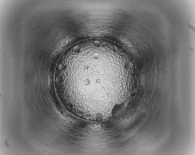 X0000096990687200802221458