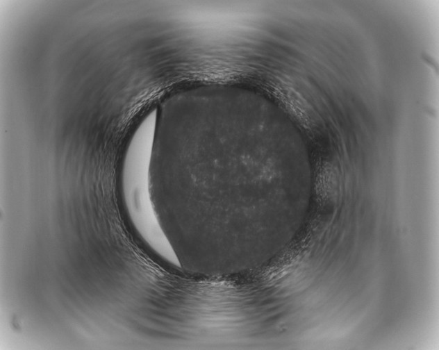 X0000096990689200802221458