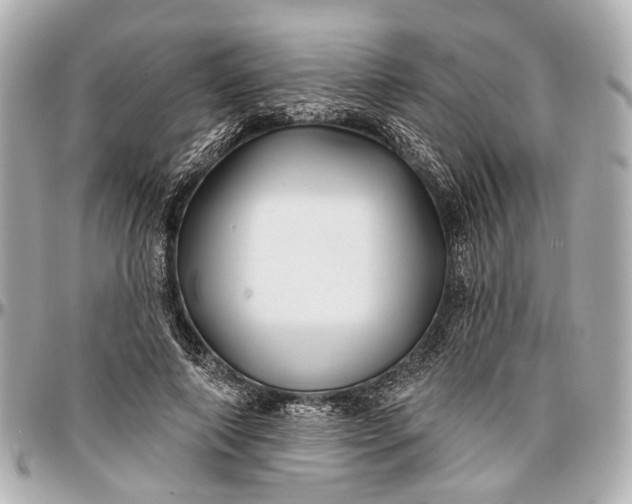 X0000096990690200802221458