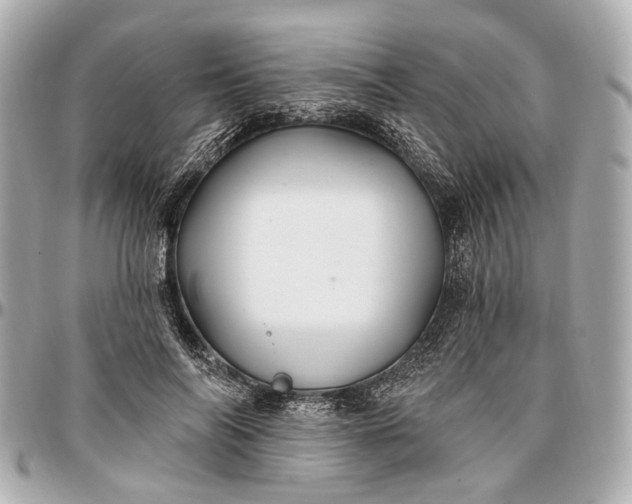 X0000096990694200802221458