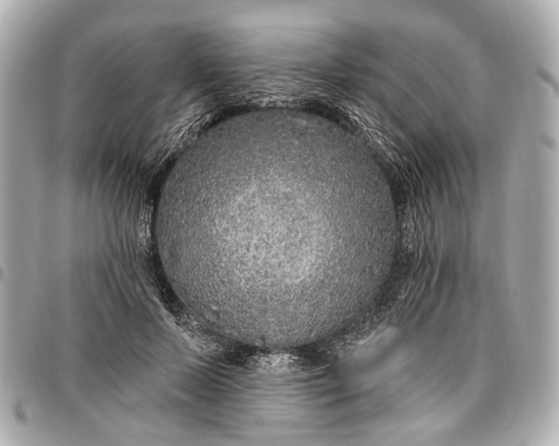 X0000096990695200802221458