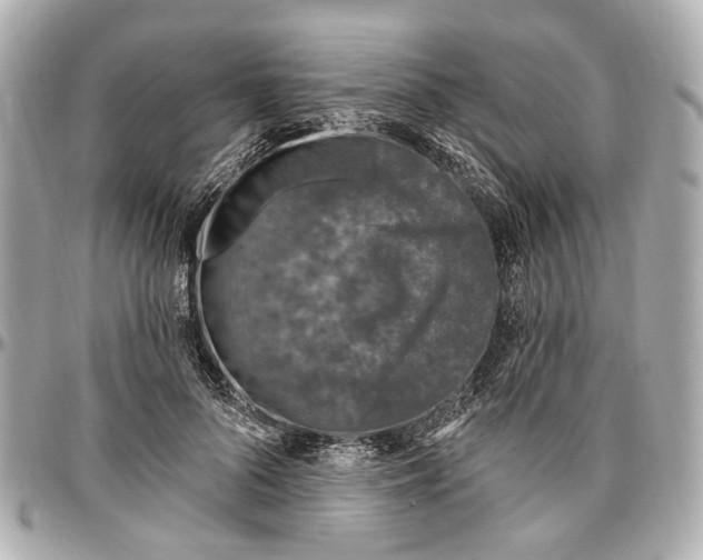 X0000096990696200802221458