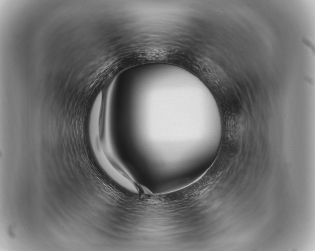 X0000096990697200802221458