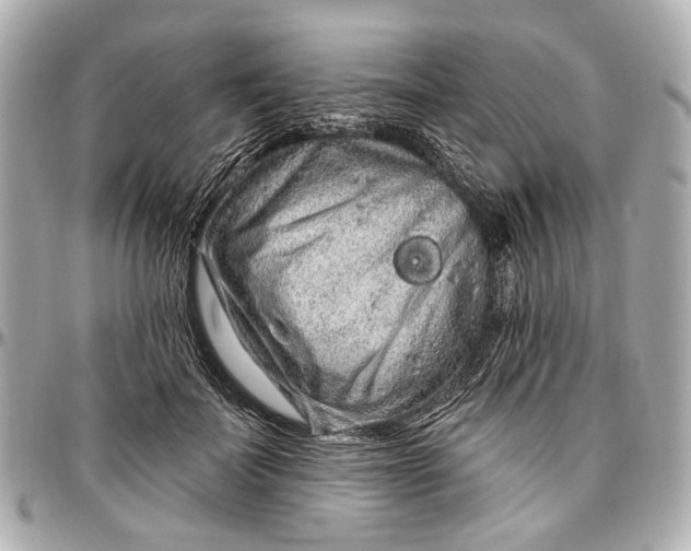 X0000096990699200802221458