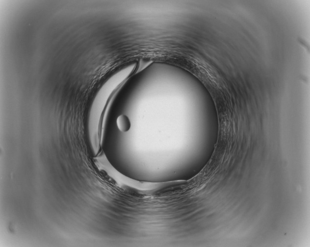 X0000096990700200802221458