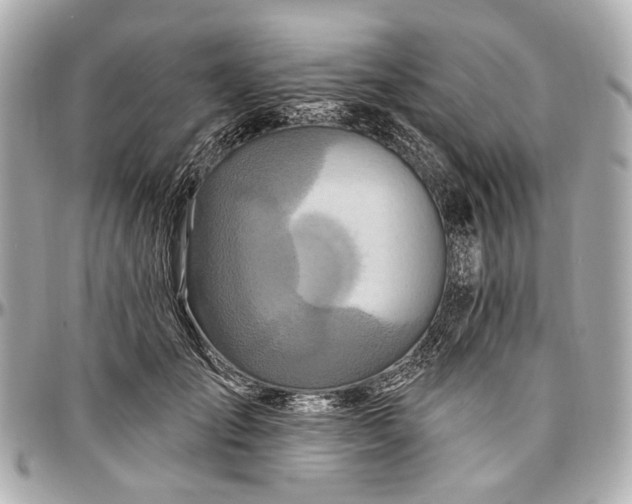 X0000096990701200802221458