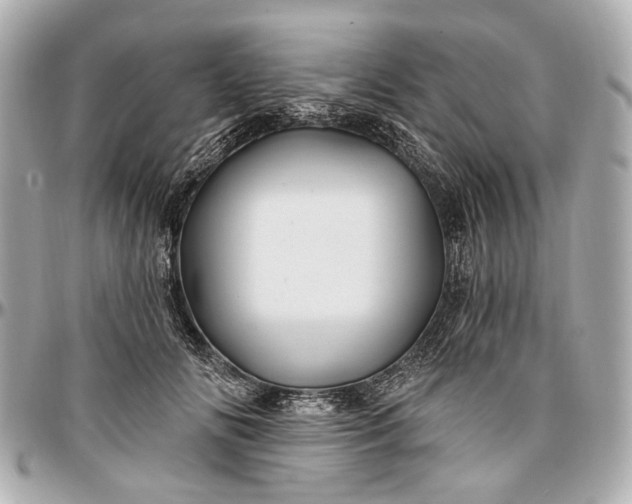 X0000096990702200802221458