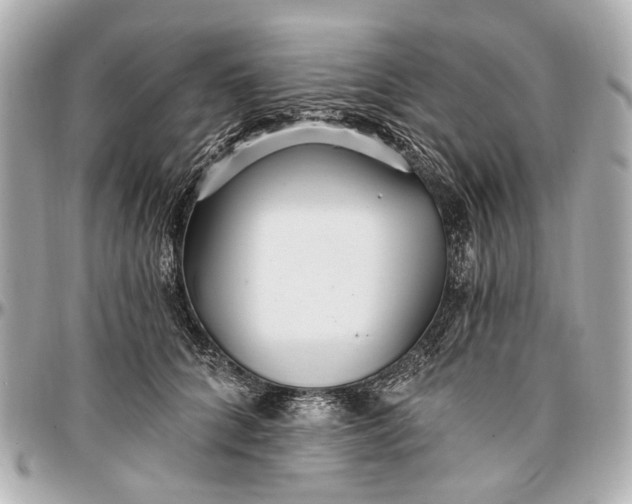 X0000096990704200802221458