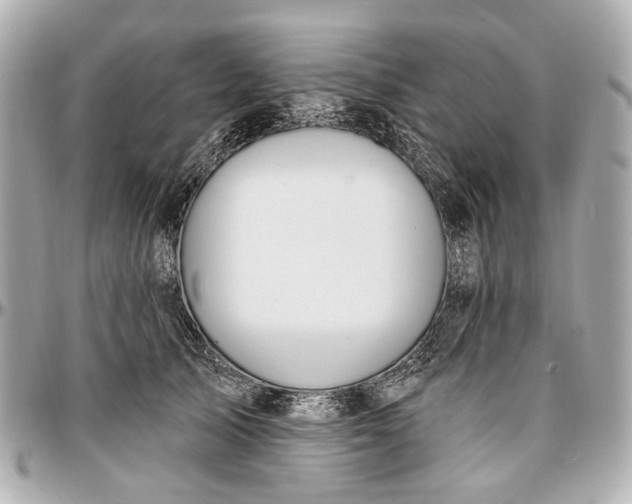 X0000096990705200802221458