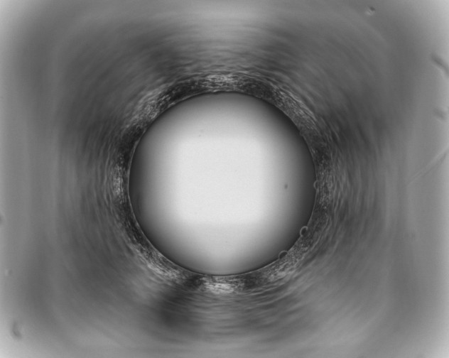 X0000096990706200802221458