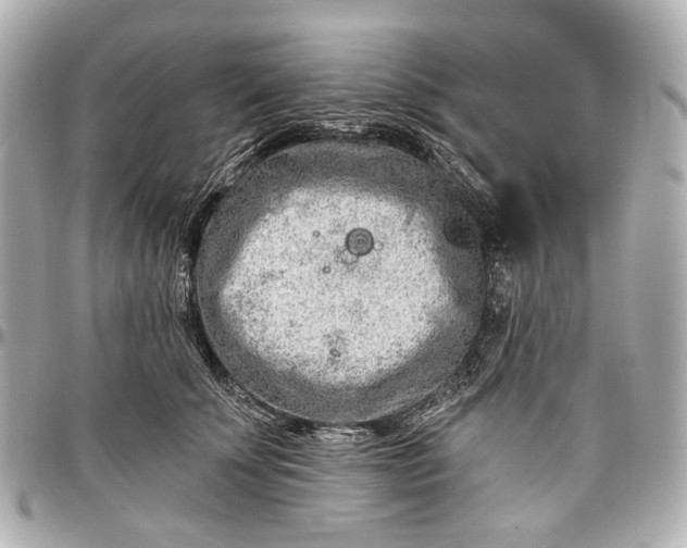 X0000096990707200802221458