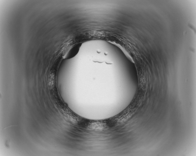 X0000096990708200802221457